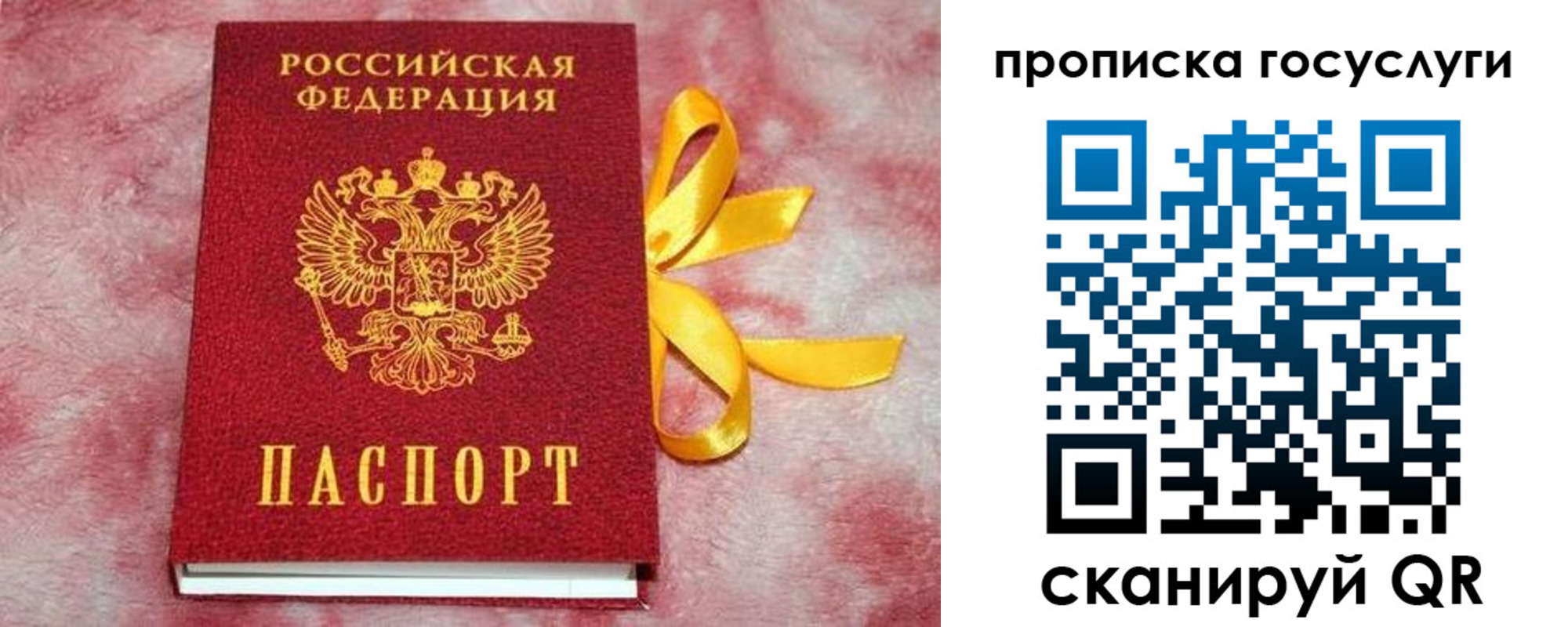 прописка законно в Дальнегорске
